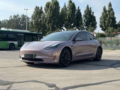 2020年12月 特斯拉 Model 3 改款 标准续航后驱升级版图片