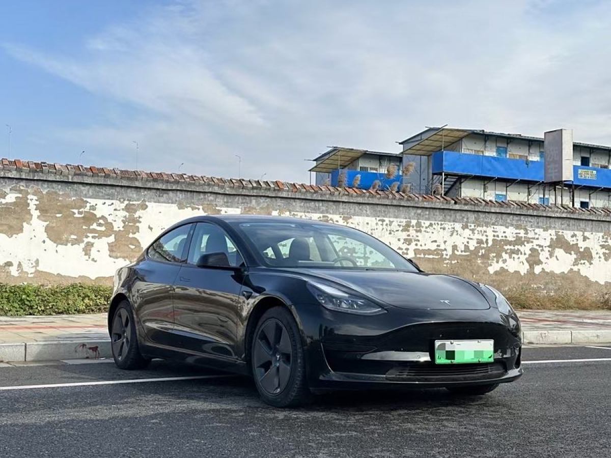 特斯拉 Model 3  2021款 改款 標(biāo)準(zhǔn)續(xù)航后驅(qū)升級版圖片