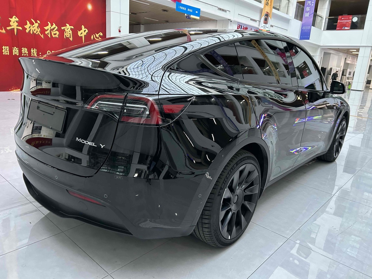 特斯拉 Model Y  2020款 改款 長(zhǎng)續(xù)航后輪驅(qū)動(dòng)版圖片