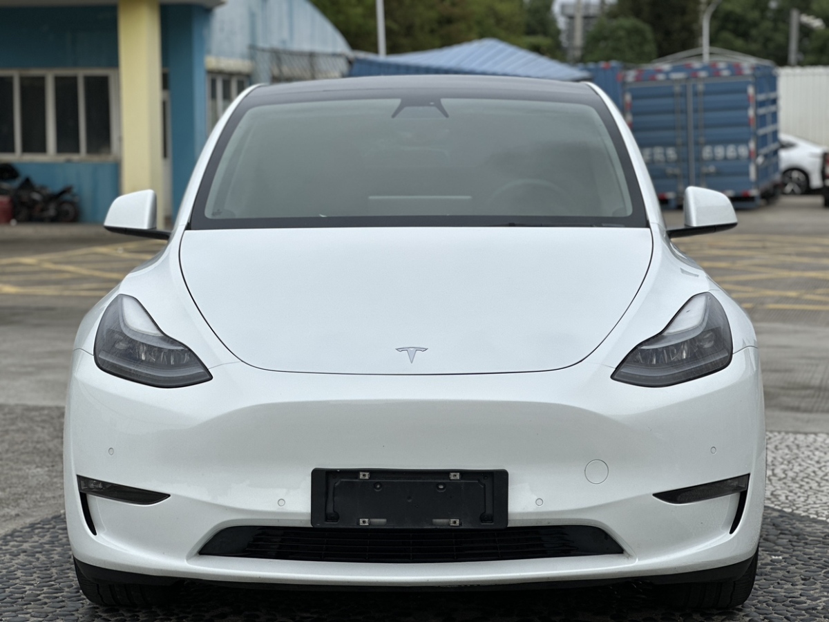 特斯拉 Model 3  2021款 改款 長(zhǎng)續(xù)航全輪驅(qū)動(dòng)版圖片