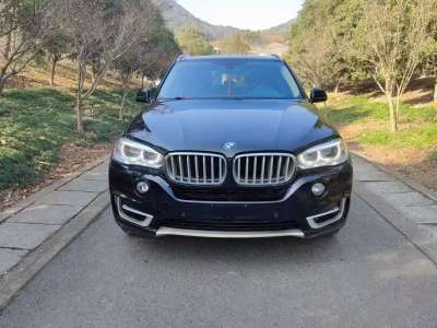 2015年4月 寶馬 寶馬X5(進口) xDrive35i 領(lǐng)先型圖片