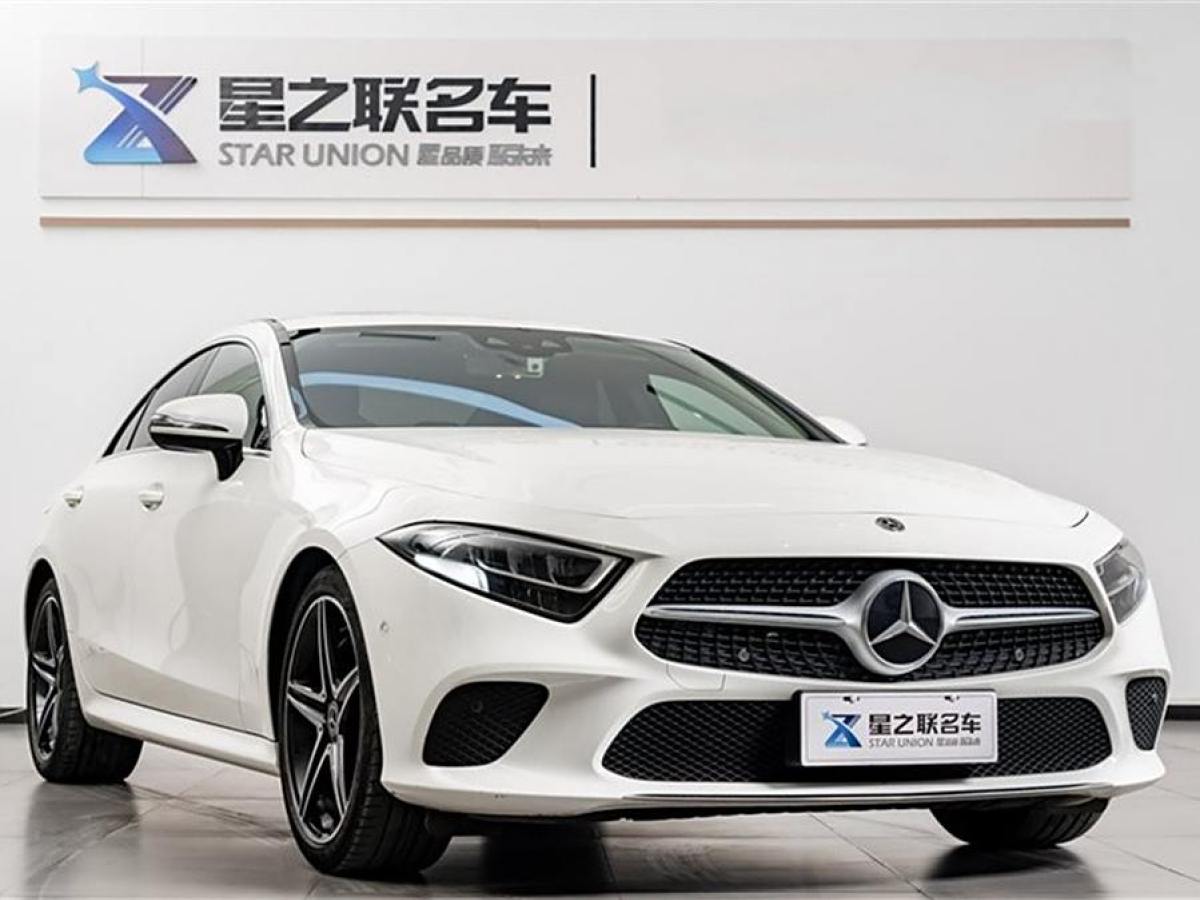 奔馳 奔馳CLS級  2018款 CLS 300 動感型圖片