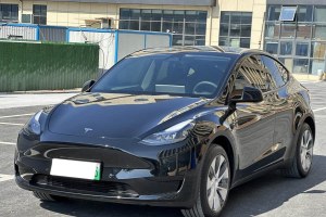 Model Y 特斯拉 改款 后輪驅(qū)動(dòng)版