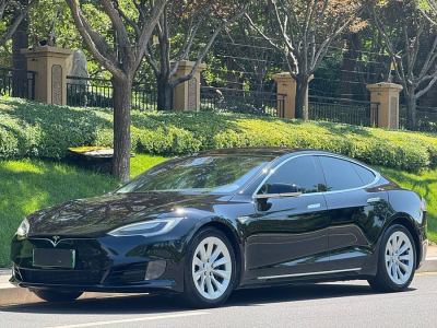 2019年6月 特斯拉 Model S Model S 75D图片