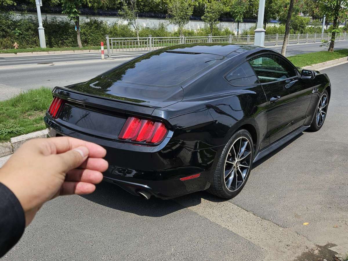 福特 Mustang  2015款 2.3T 性能版圖片