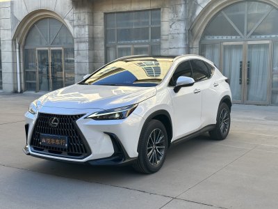 2023年7月 雷克薩斯 NX 350h 前驅(qū) 創(chuàng)馳版圖片