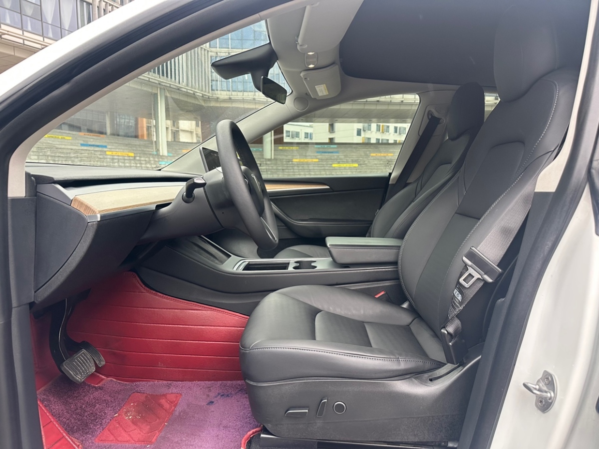 特斯拉 Model Y  2021款 標(biāo)準(zhǔn)續(xù)航后驅(qū)版圖片