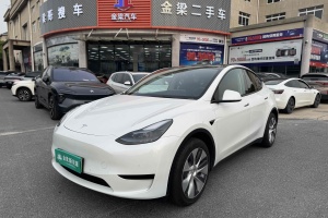 Model Y 特斯拉 改款 后輪驅(qū)動版