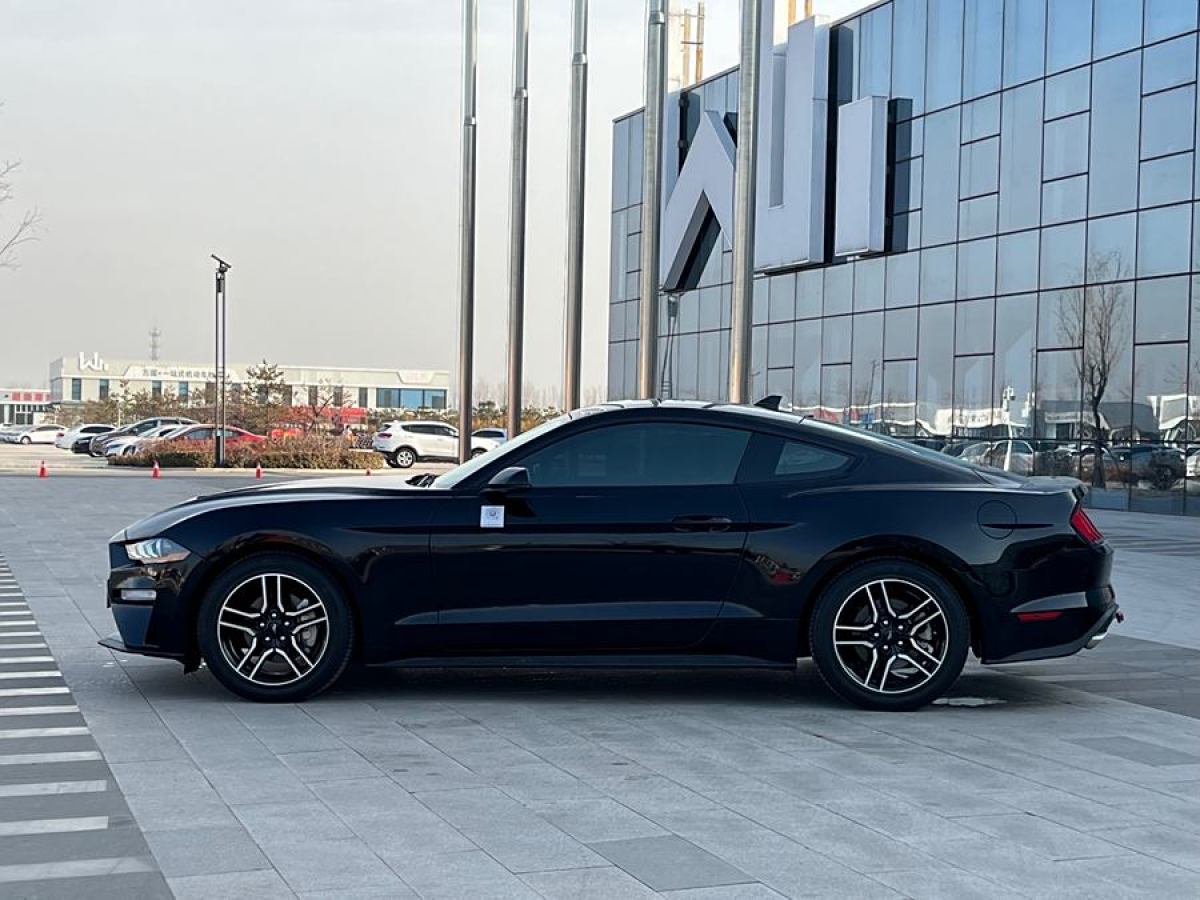 福特 Mustang  2019款 2.3L EcoBoost圖片