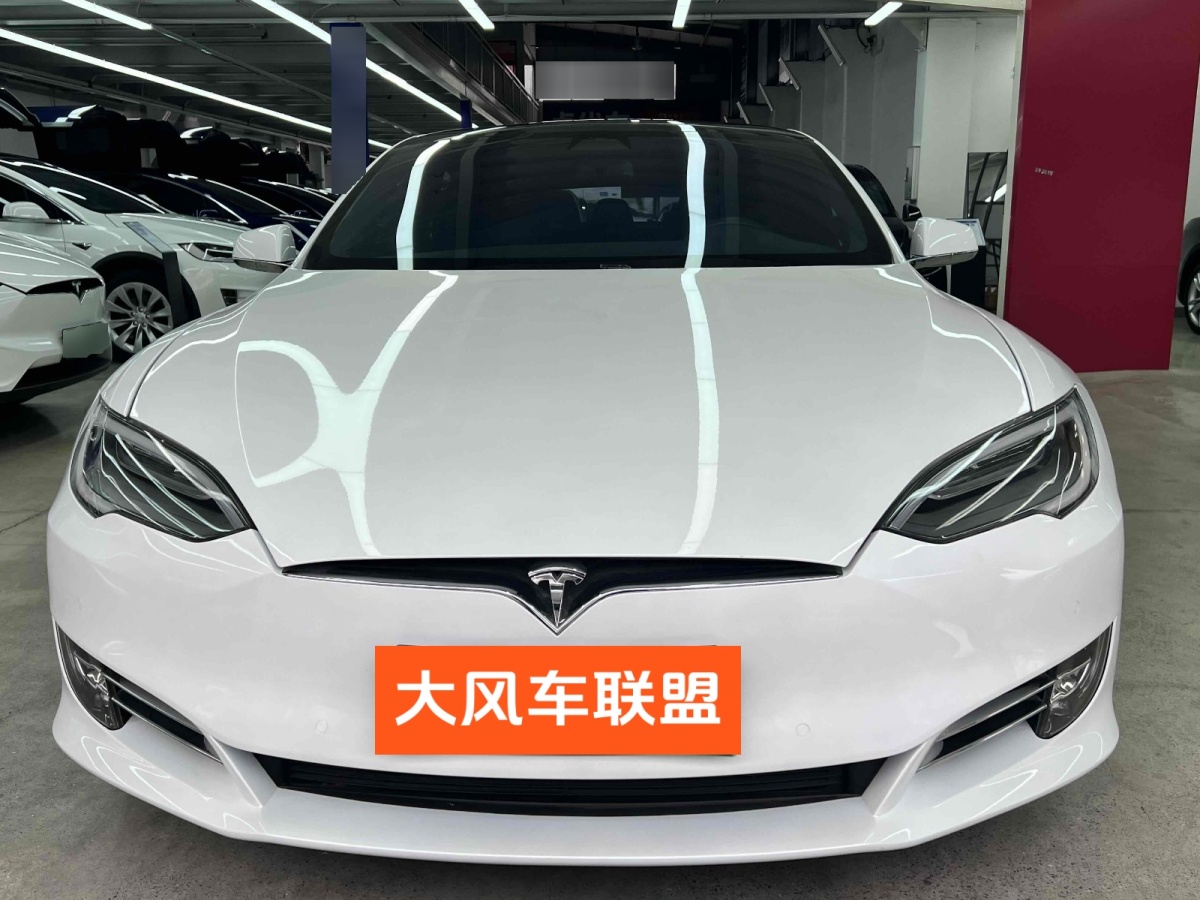 特斯拉 Model S  2019款 長續(xù)航版圖片