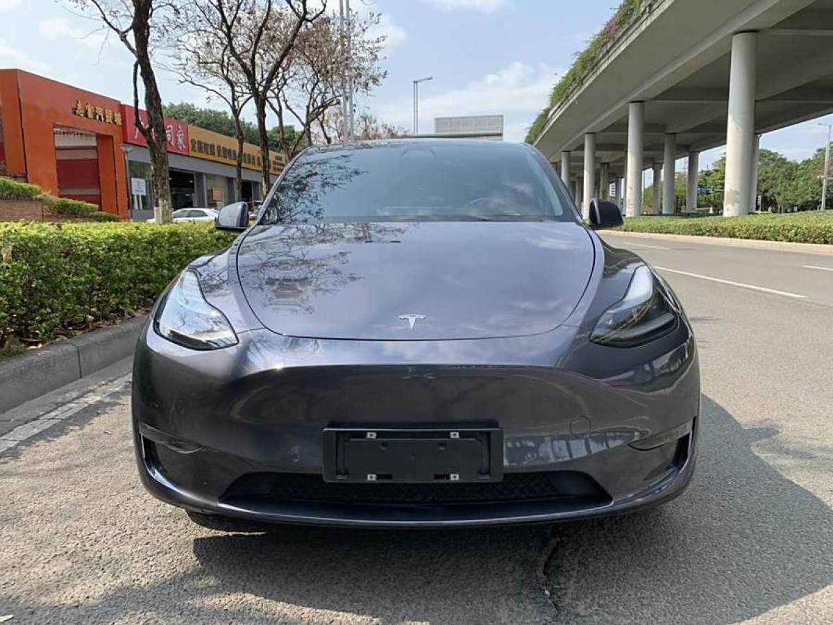 2021年3月特斯拉 Model Y  2021款 改款 長(zhǎng)續(xù)航全輪驅(qū)動(dòng)版