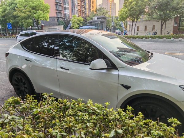 特斯拉 Model Y  2020款 改款 长续航后轮驱动版