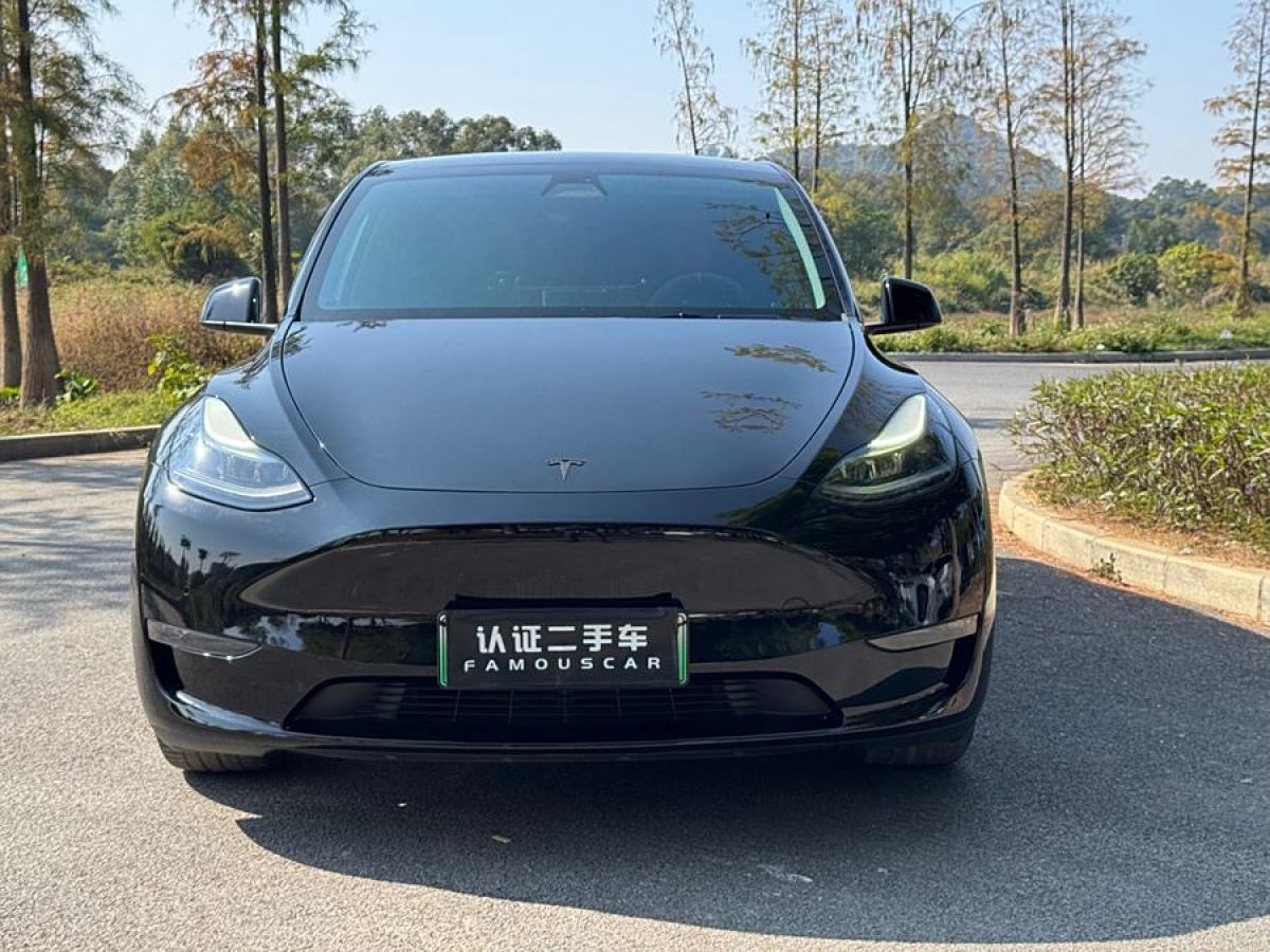 特斯拉 Model 3  2021款 改款 標(biāo)準(zhǔn)續(xù)航后驅(qū)升級(jí)版圖片