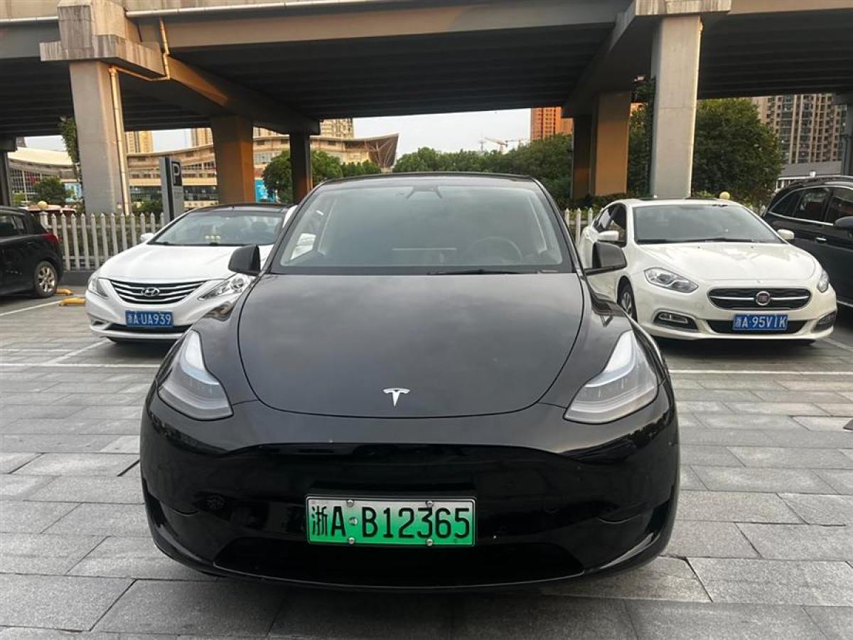 特斯拉 Model Y  2020款 改款 長續(xù)航后輪驅(qū)動版圖片