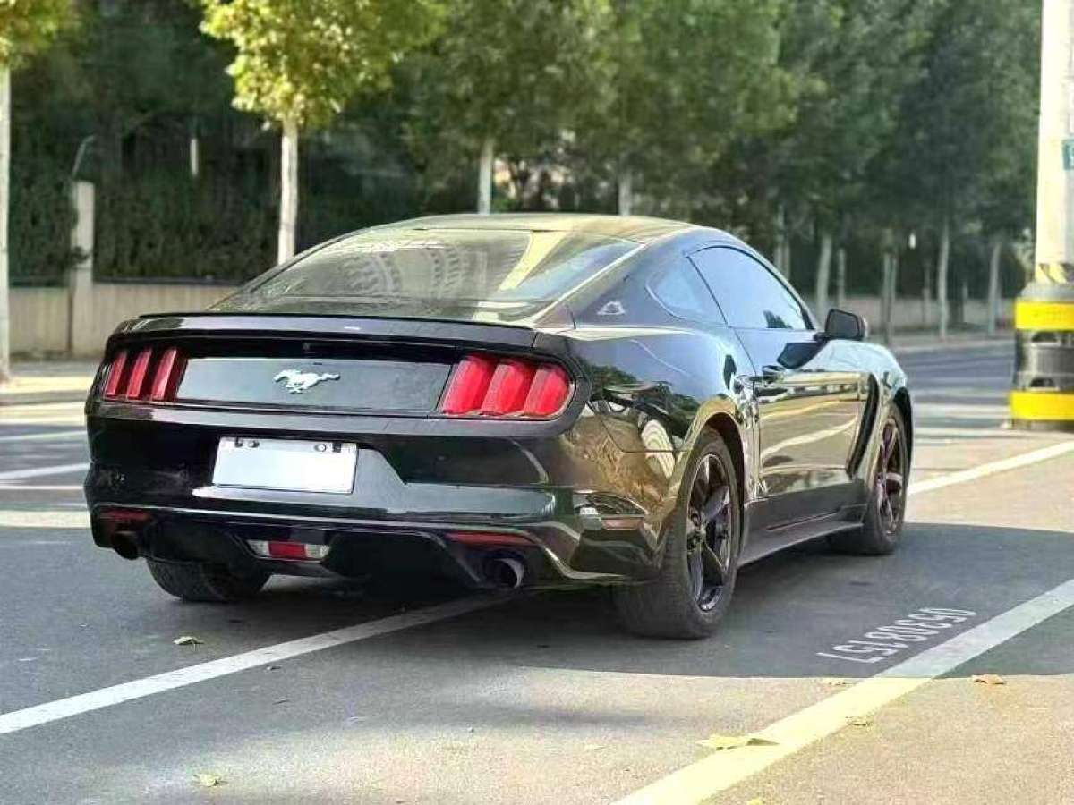 福特 Mustang  2015款 2.3T 性能版圖片