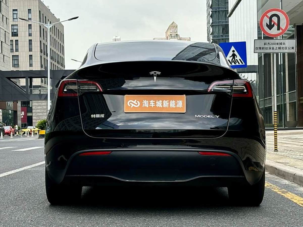 特斯拉 Model Y  2020款 改款 長續(xù)航后輪驅(qū)動版圖片