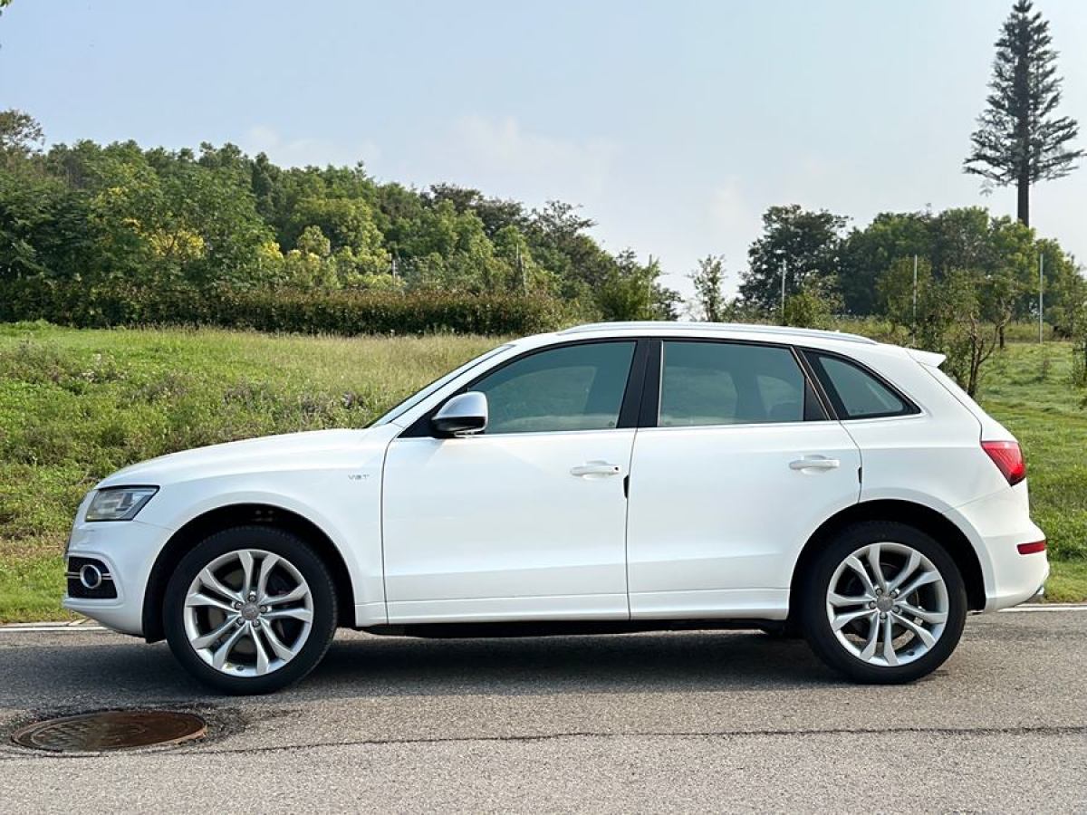 2015年8月奧迪 奧迪SQ5  2014款 SQ5 3.0 TFSI quattro