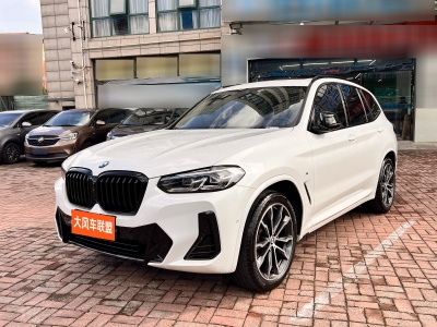 2023年8月 寶馬 寶馬X3 xDrive30i 領(lǐng)先型 M曜夜套裝圖片