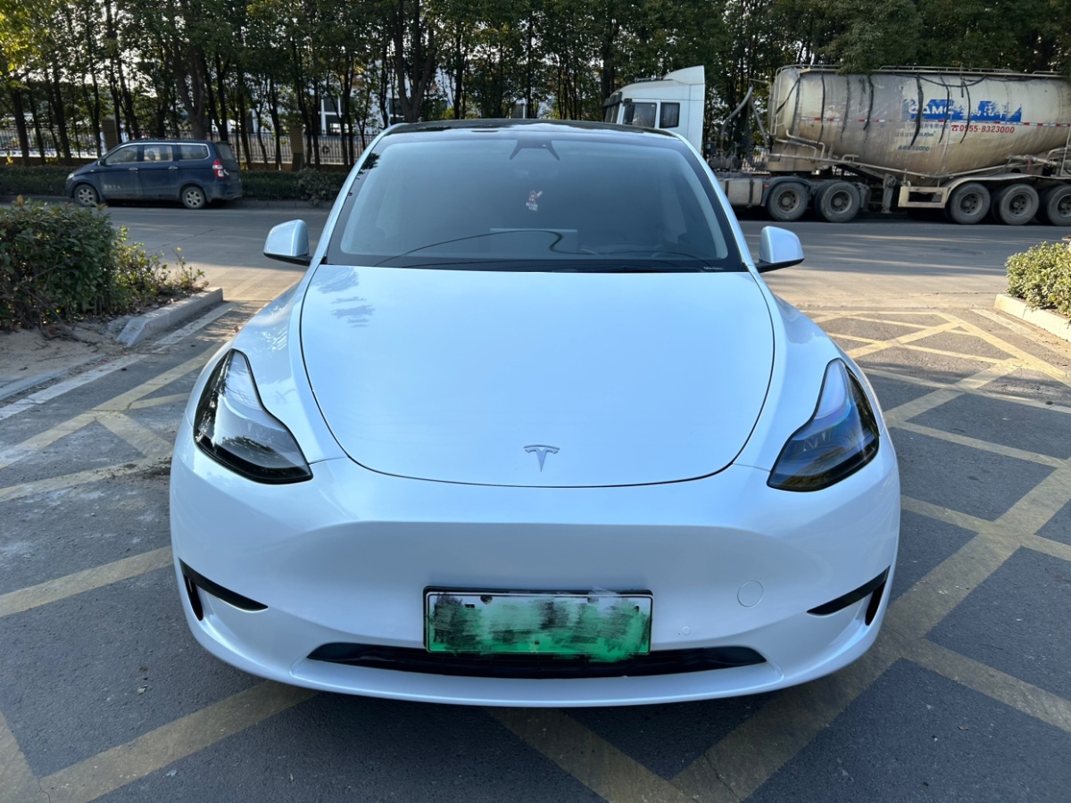 特斯拉 Model 3  2022款 Performance高性能全輪驅(qū)動版圖片