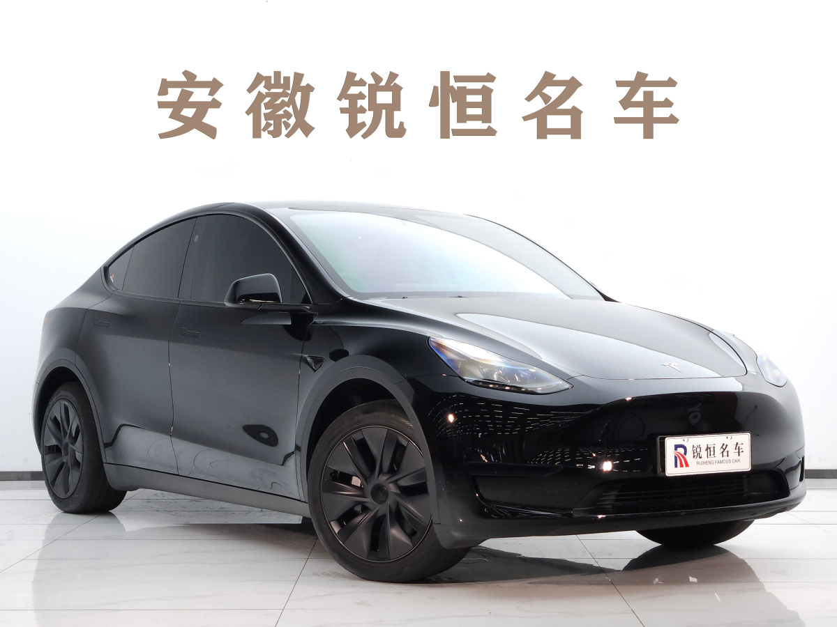 特斯拉 Model Y  2020款 改款 長(zhǎng)續(xù)航后輪驅(qū)動(dòng)版圖片