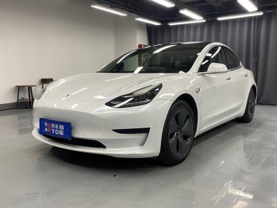 2020年10月 特斯拉 Model 3 改款 標(biāo)準(zhǔn)續(xù)航后驅(qū)升級(jí)版圖片