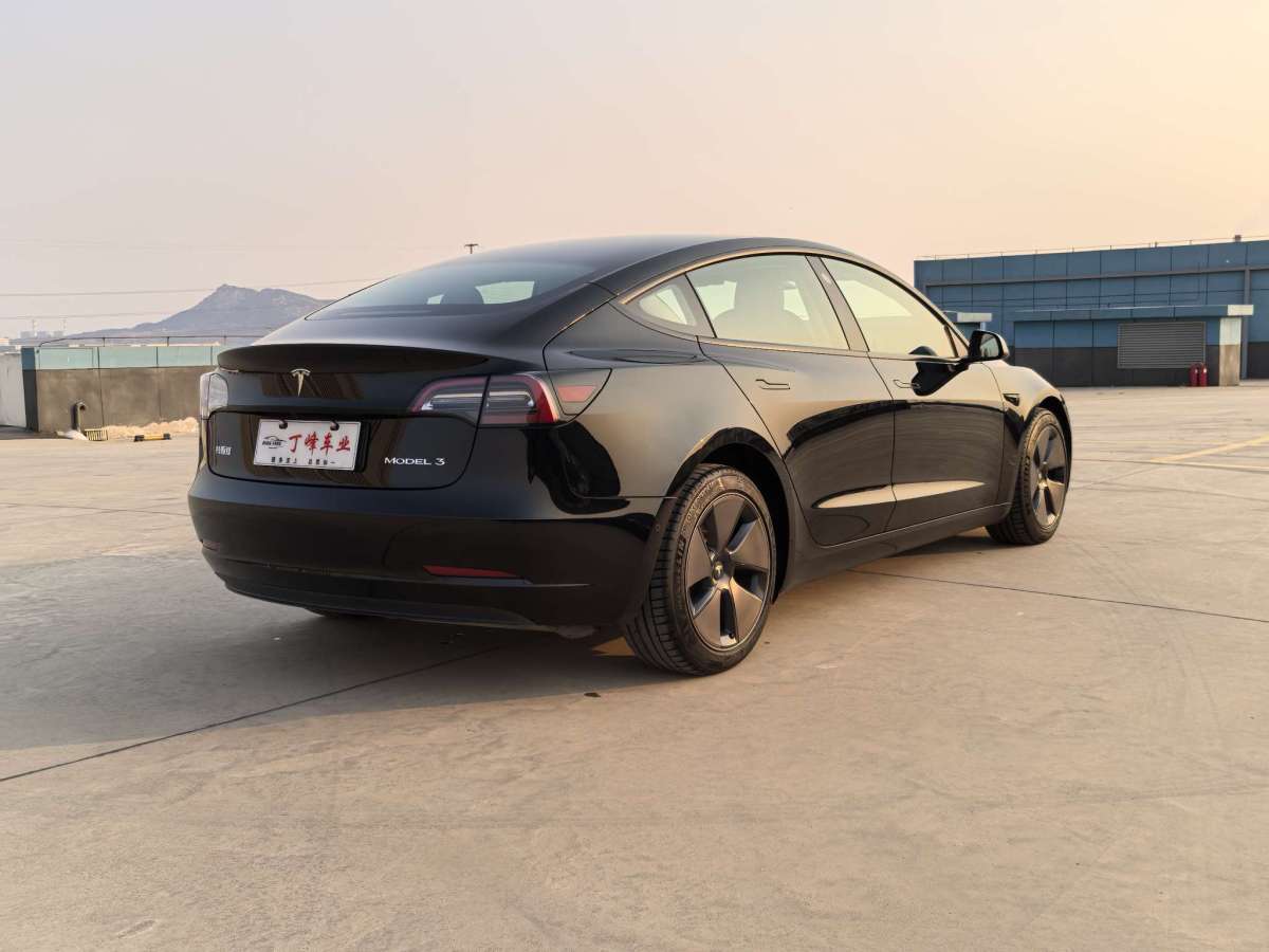 特斯拉 Model 3  2021款 標(biāo)準(zhǔn)續(xù)航后驅(qū)升級(jí)版圖片