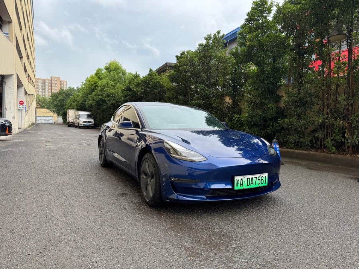 特斯拉 Model 3  2020款 改款 長續(xù)航后輪驅動版圖片