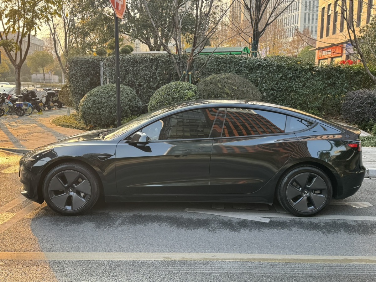 特斯拉 Model 3  2021款 標準續(xù)航后驅升級版 3D6圖片