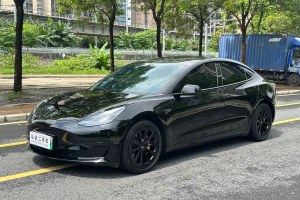 Model 3 特斯拉 后輪驅(qū)動版