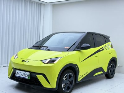 2024年5月 比亞迪 海鷗 榮耀版 305km 自由版圖片