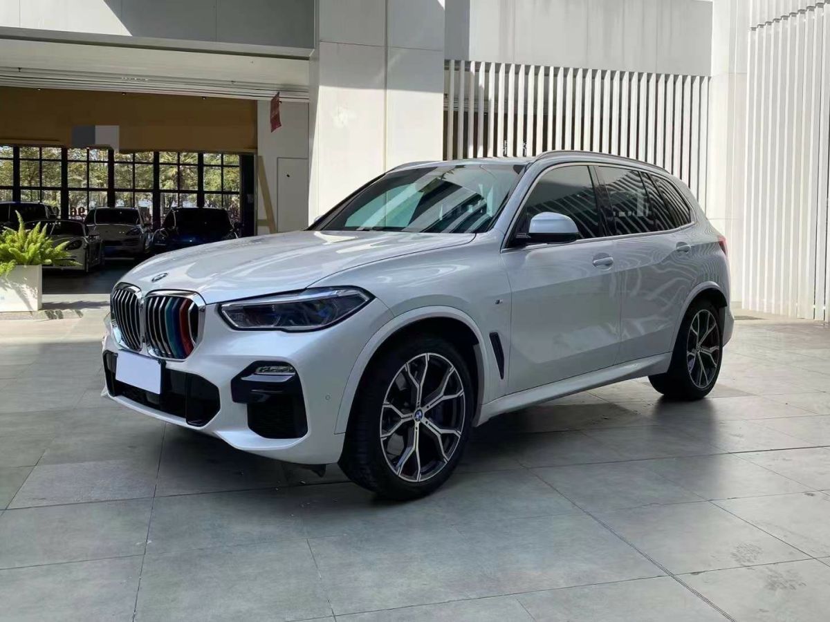 寶馬 寶馬X5  2019款 xDrive30i X設(shè)計(jì)套裝圖片