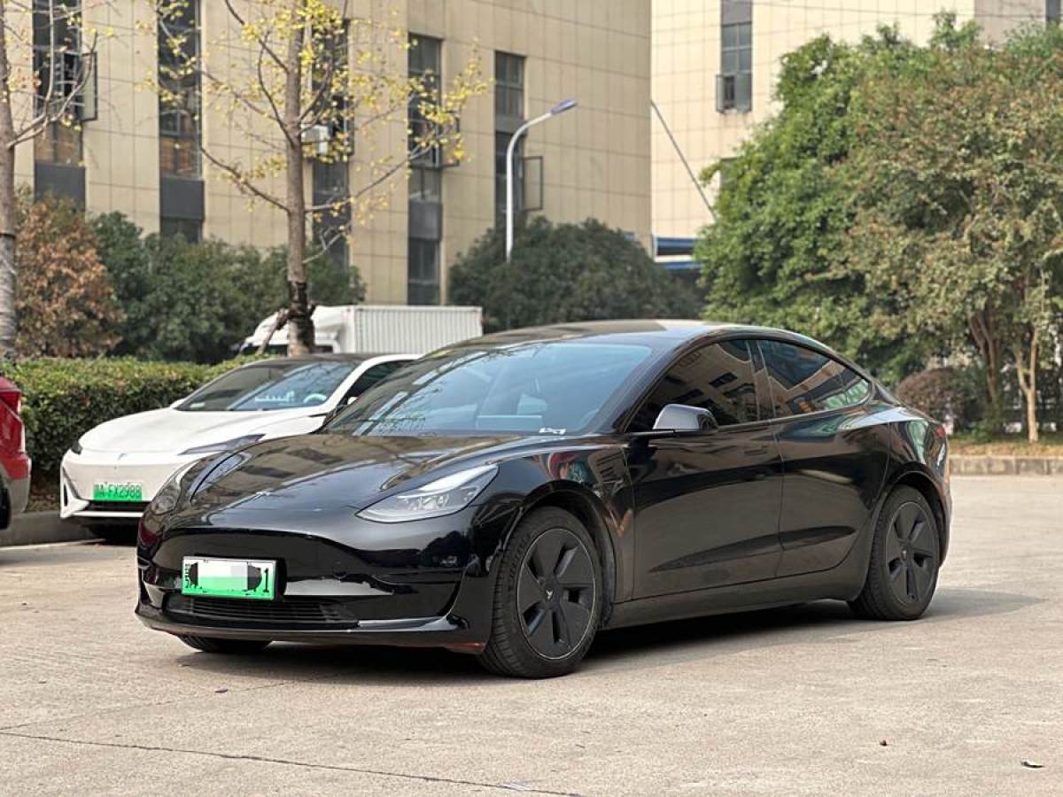 2021年3月特斯拉 Model 3  2021款 改款 標(biāo)準(zhǔn)續(xù)航后驅(qū)升級(jí)版