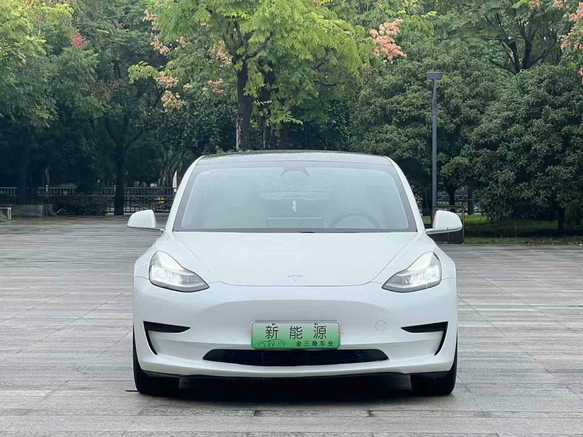 特斯拉 Model X  2020款 Performance 高性能版圖片