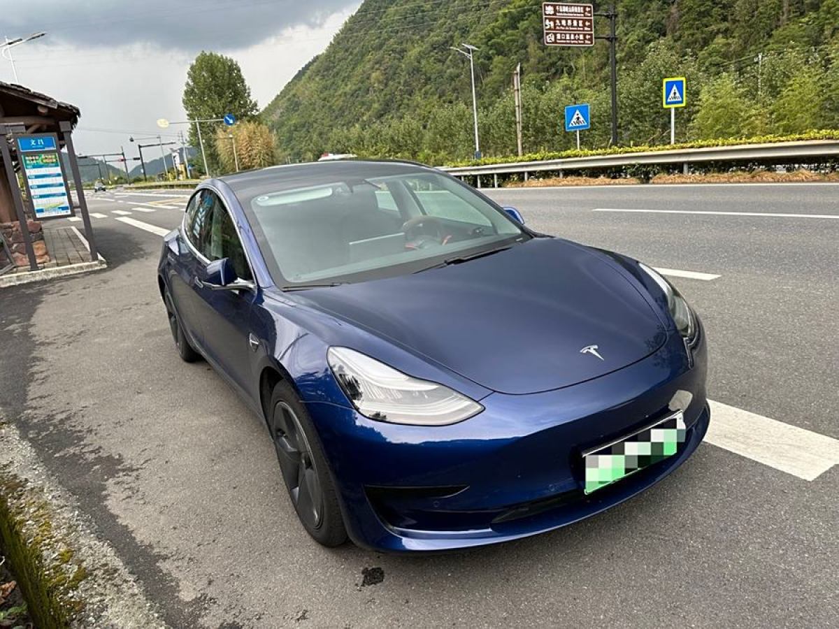 特斯拉 Model Y  2020款 改款 標準續(xù)航后驅(qū)升級版圖片