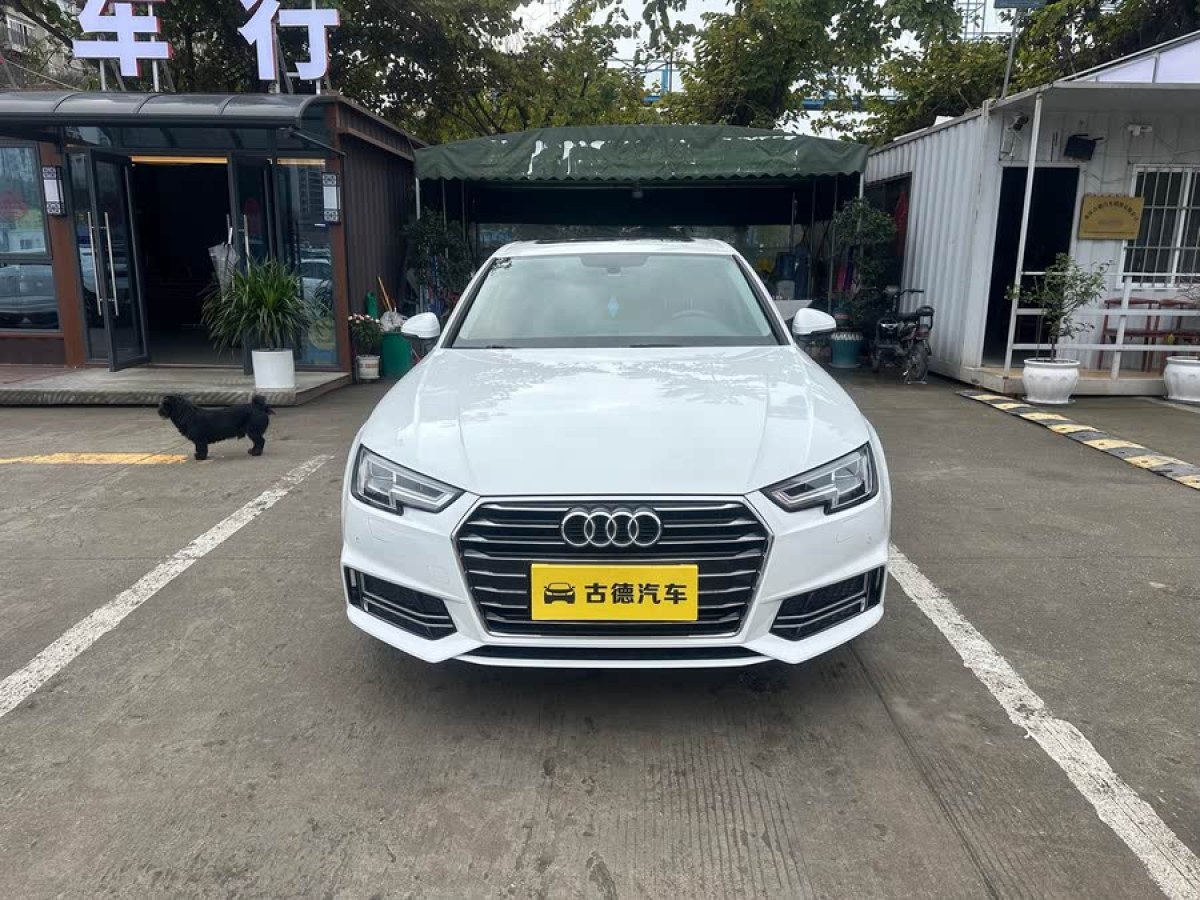 奧迪 奧迪A4L  2019款 40 TFSI 進(jìn)取型 國VI圖片