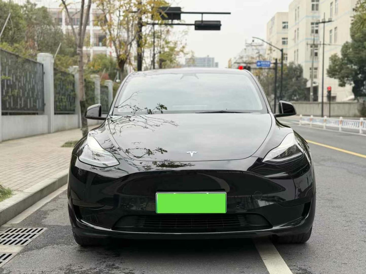 特斯拉 Model 3  2022款 Performance高性能全輪驅(qū)動版圖片