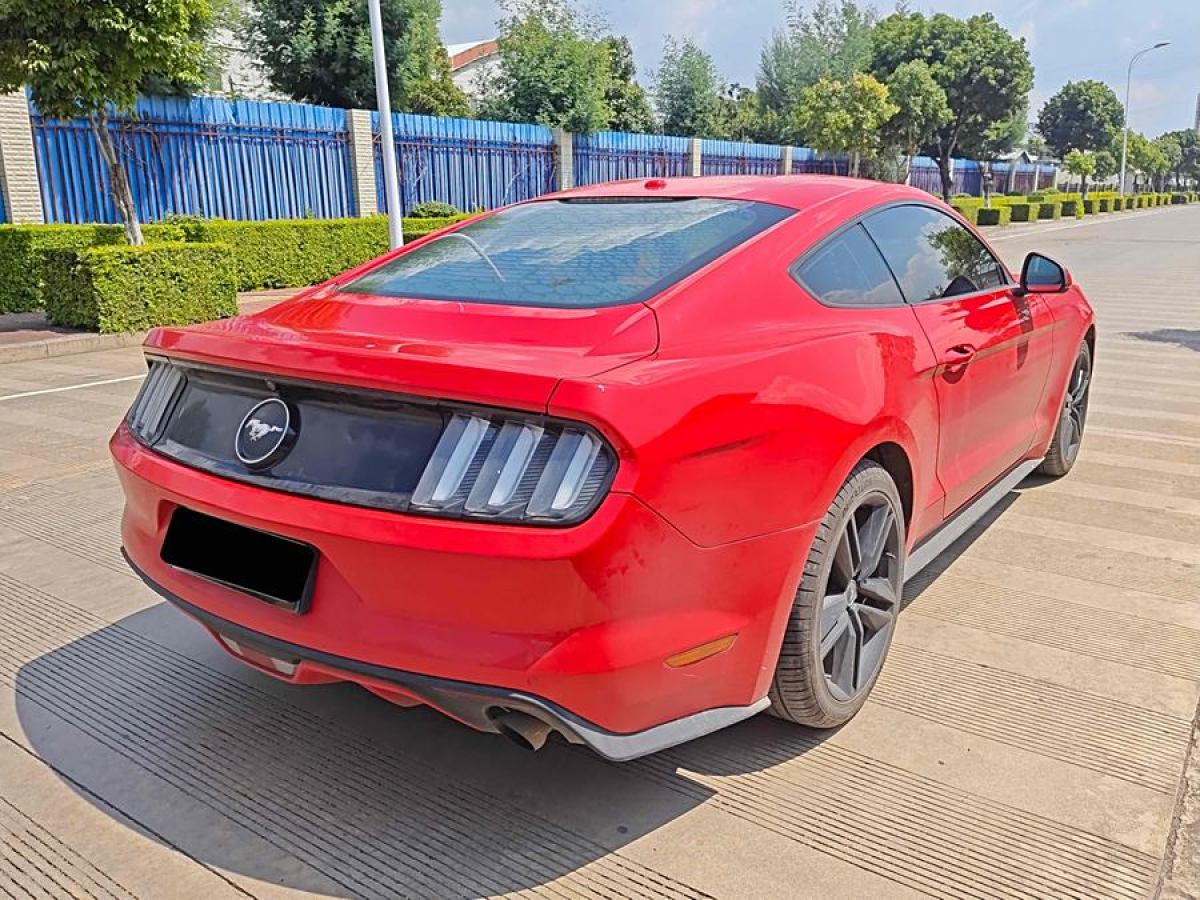 福特 Mustang  2015款 2.3T 性能版圖片