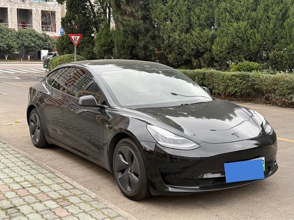 2020年7月特斯拉 Model 3  2020款 改款 標(biāo)準(zhǔn)續(xù)航后驅(qū)升級(jí)版