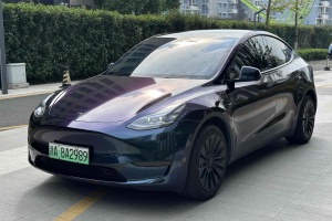 Model Y 特斯拉 改款 长续航后轮驱动版