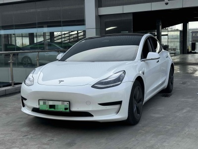 2021年1月 特斯拉 Model 3 改款 長續(xù)航后輪驅動版圖片