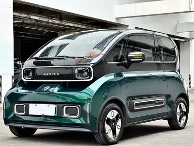 2022年8月 宝骏 宝骏KiWi EV 艺术家轻享版 三元锂图片