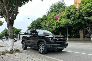 哈弗大狗 哈弗 1.5T DCT邊牧-旺財(cái)版