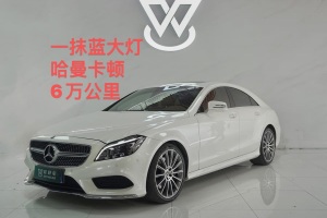 奔馳CLS級 奔馳 CLS 320逸彩版