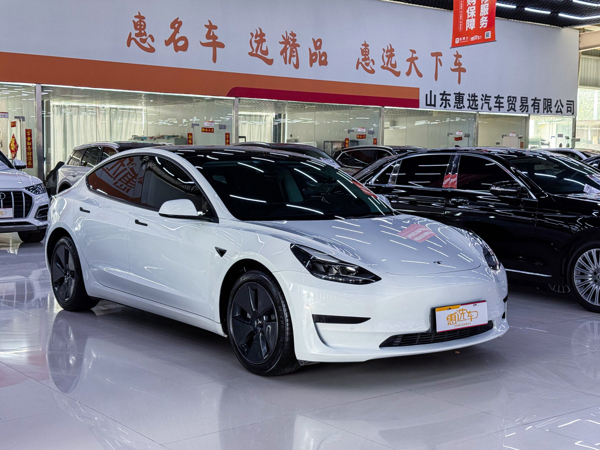 特斯拉 Model 3  2021款 標(biāo)準(zhǔn)續(xù)航后驅(qū)升級版 3D6圖片