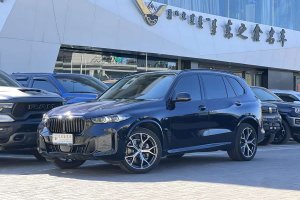 寶馬X5 寶馬 xDrive 30Li 尊享型M運動曜夜套裝