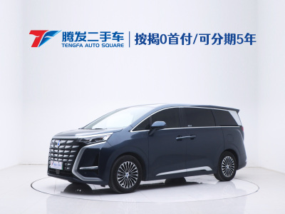 2023年3月 騰勢(shì) 騰勢(shì)D9 DM-i 970 四驅(qū)尊榮型圖片