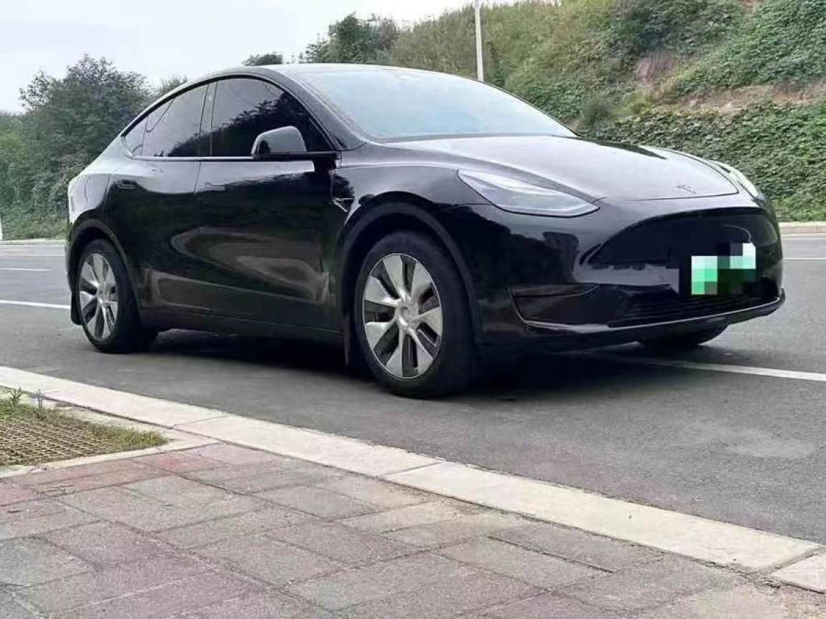 特斯拉 Model Y  2022款 后輪驅(qū)動版圖片