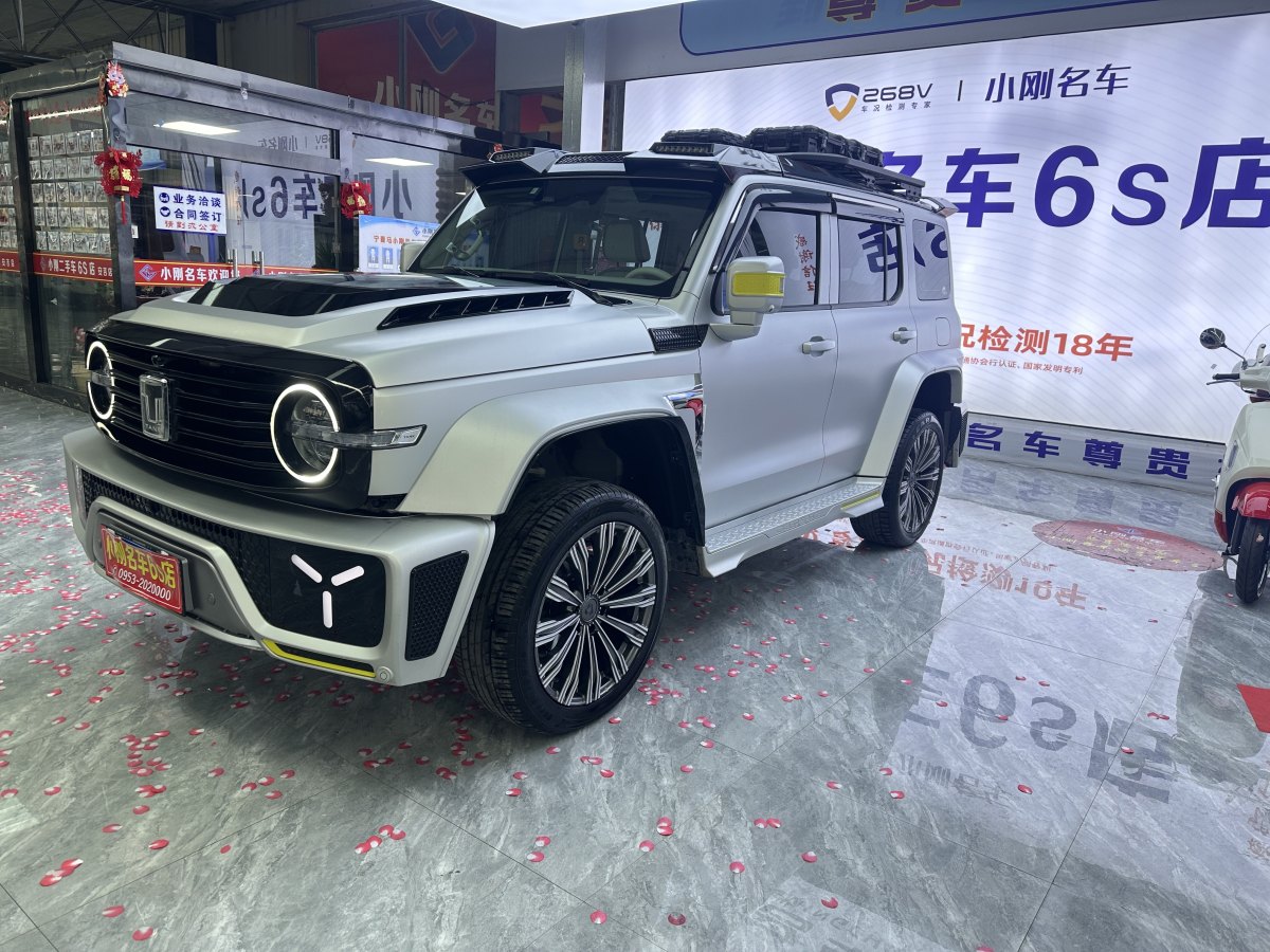 坦克 坦克300共創(chuàng)  2021款 2.0T 賽博坦克圖片