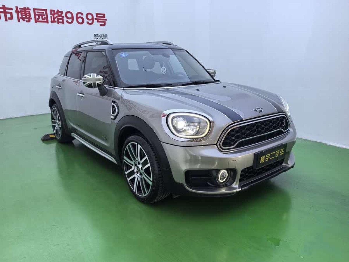 MINI COUNTRYMAN  2019款 2.0T COOPER S ALL4 藝術(shù)家圖片