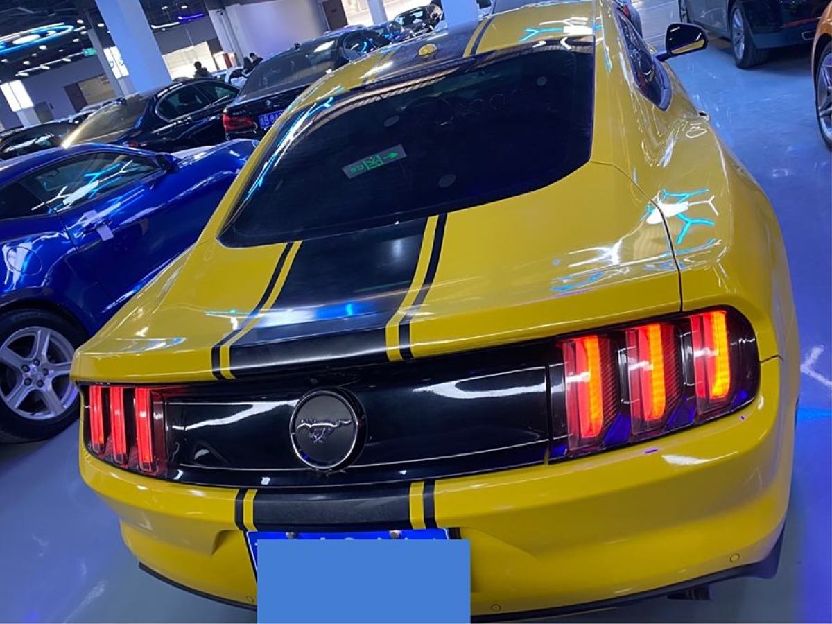 福特 Mustang  2015款 2.3T 性能版圖片